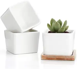 Pot Bunga Keramik Kotak Putih, dengan Baki Bambu, Wadah Segar Persegi Taman