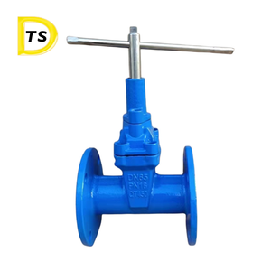 Thép không gỉ rãnh mặt bích Van cổng - Product Image 2