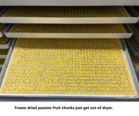 Premium Gefreeze-droogde Passievrucht Brokken Groothandel - Natuurlijke Gezonde Gedroogde Fruit Thee Ingrediënten