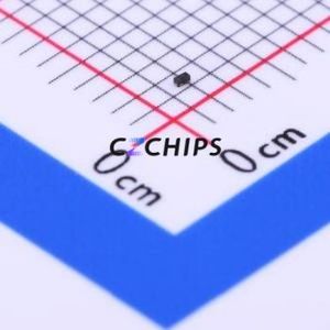 Nouveau - Original WSB5557Z-2/TR DFN0603-2L Diode Schottky Diode Vente en gros de composants électroniques Fournisseur de puces et service BOM - Product Image 1