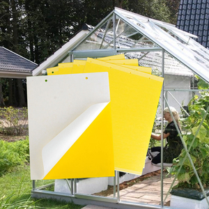 Piège collant jaune solide double face étanche pour le contrôle des ravageurs <span class=keywords><strong>de</strong></span> jardin courants - Product Image 3