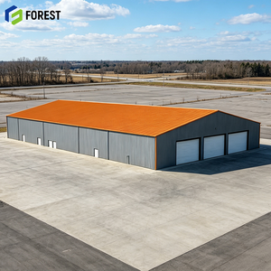 Almacén de Acero Estructural Prediseñado de Gran Altura, Depósito Modular Industrial de Alta Resistencia para Distribución de Carga - Product Image 1
