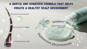 BEAVER Marque privée Vente en gros OEM Contrôle de l'huile personnalisé Soins capillaires Format de voyage Gel <span class=keywords><strong>sans</strong></span> <span class=keywords><strong>eau</strong></span> volumateur de luxe Shampooing à sec - Product Image 5