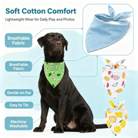 Bandana pour animaux de compagnie en tissu de coton à motif de dessin animé, imprimé fruits (Pastèque, Citron), bavoir anti-bave, pour l'été et Halloween, lavable à la main