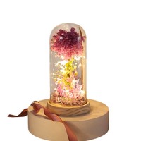 Lampu Hias Kaca Berbentuk Kubah dengan Bunga Hydrangea Awet Buatan Tangan Shangchu untuk Hadiah Hari Valentine dan Hari Ibu