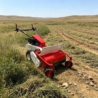 Débroussailleuse thermique S680L 680 mm 9 CV, autotractée, 3 vitesses avant + 1 arrière, pour l'élimination des herbes sauvages