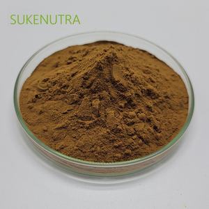 차가버섯 추출물 분말 다당류 30% 항산화 면역 및 소화 지원-초점 에너지 선명도 웰빙 - Product Image 2