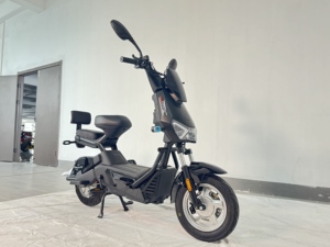 Nouvelle <span class=keywords><strong>moto</strong></span> électrique EEC 800w 48V 60v 20AH deux roues avec 2 places vélo électrique adulte 25kmh homologation en Europe - Product Image 3