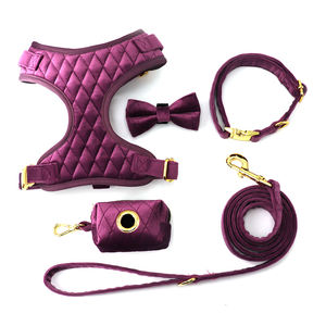 Nuevos productos para mascotas, conjunto de arnés de correa de cuello de perro acolchado de rejilla de terciopelo de lujo a la moda con pajarita y soporte para bolsa de caca - Product Image 1
