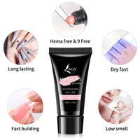 Easy Nails G14 SANS HEMA/DI-HEMA Gel Poly LED Pailleté pour Ongles Français, Non Toxique, Végan, Écologique, Tenue 3-4 Semaines