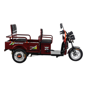 Tricycle Électrique Ouvert pour Adultes, Scooter Électrique à 3 Roues avec Grande Capacité de Bagages, Vélo Électrique avec Remorques - Product Image 2