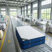Matelas à ressorts ensachés noir 12 pouces, anti-escarres, design Euro Top, fermeté moyenne, simple, vente en gros, directement du fabricant