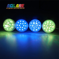 Lampe à LED IP65 RGB 24V pour parcs à thème, foire d'attractions, point d'éclairage, lumière d'amusement amusante