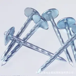 Galvanized Smooth/Barbed Shank Umbrella Head Roofing Nail