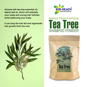 Vendita calda naturale sano cuoio capelluto schiuma Tea Tree Shampoo Anti perdita di capelli Shampoo in polvere alla rinfusa - Product Image 2