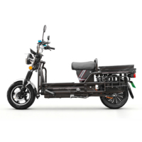 SIGOTECH Prix d'usine Moto électrique robuste entièrement en fer 72 V 1000 Watts, Scooter électronique de transport lourd
