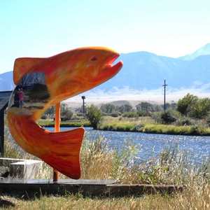 Sculpture d'animal marin de grande taille, modèle décoratif, sculpture de poisson en fibre de verre grandeur nature, océan - Product Image 4