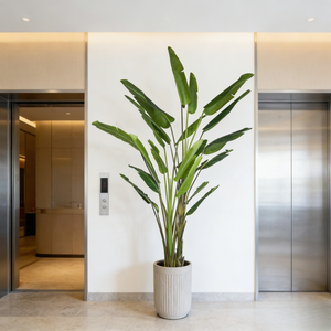 Wholesale <strong>Best</strong> Selling Premium <strong>Artificial</strong> <strong>Banana</strong> <strong>Trees</strong> Evergreen Faux Strelitzia Lifelike <strong>Artificial</strong> <strong>Banana</strong> <strong>Tree</strong> Home Decor - Product Image 2