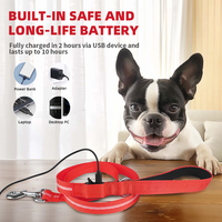 Laisse pour chien de compagnie qui brille dans le noir pour la marche nocturne, rechargeable, laisse lumineuse pour chiot, Correa De Perro, laisse pour animal de compagnie plate à LED clignotante