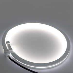 IP68 Waterproof Mini 6000K Neon LED Flex Strip PVC/<strong>Silicone</strong> 24V DC LED Neon Flex for Landscape or Outdoor Use - Product Image 6