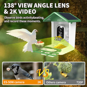 Mangiatoia per Uccelli Intelligente con Telecamera, Identificazione AI delle Specie, Foto 3MP, Video HD 2K, Streaming Live, Visione Notturna - Product Image 5