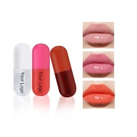 Brillant à lèvres plus dodu avec logo personnalisé en forme de capsule mignonne vente en gros Brillant à lèvres transparent à l'huile pour les lèvres en gelée de marque privée