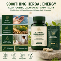 Bio Rhythm Support : Capsules à base de plantes pour l'adaptation systémique, densité nutritive, formule minimaliste, compatible végétalien, certifié Halal