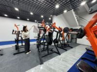 Máquina de remo de alta resistencia con pila de pesas para entrenamiento de espalda, equipo comercial de gimnasio para remo y dominadas