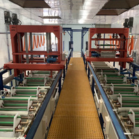 Machine galvanisée automatique Wenbo ligne de zingage grue à portique automatique machine de placage de baril