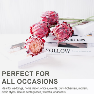 Protea Artificial de Visón a <span class=keywords><strong>Precio</strong></span> de Fábrica para Navidad, Día de la Madre y San Valentín, Fotografía de Retratos y Bodas, Decoración de Estilo Retro - Product Image 6