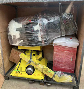 Venta al por mayor inflable <span class=keywords><strong>Rodeo</strong></span> montando toro mecánico fabricantes precio adultos loco paseo máquina caja de control toro mecánico juego - Product Image 6