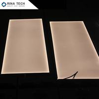 Plaque de guidage lumineux microstructurenée double face pour rétroéclairage LED de cuisinière à riz, panneau d'affichage LED Rina Tech