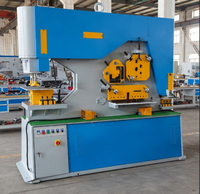Fortschrittliche Hydraulische Eisenbearbeitungsmaschine für Schnelle Produktionslinien-Effizienz