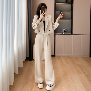 Women's Short Sleeve Suit Set Autumn Casual Satin Anti-Wrinkle Professional Stylish Pants Jacket For Petite Figures - Product Image 3