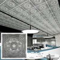 Livraison Gratuite, Panneaux de Plafond Suspendus 2x2 pieds, Panneau Mural Intérieur 3D en PVC pour Cafés et Bars PL17 Couleur Étain Antique PAINTSDECOR