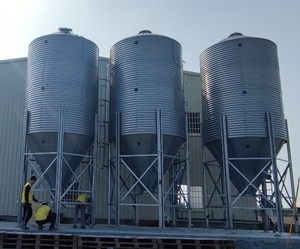 Chất lượng cao Tự động lợn ăn dòng hệ thống piggery nông nghiệp thiết bị từ Trung Quốc - Product Image 1