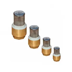 Brass Foot Valve with stainless steel filter