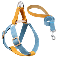 Suministros al por mayor transpirable ajustable cachorro gato D anillo arnés chaleco Bulldog francés accesorios Correa y arnés conjunto