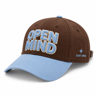Casquettes de baseball unisexes ajustables à six panneaux avec logo personnalisé en broderie chenille, commande en gros, faible MOQ