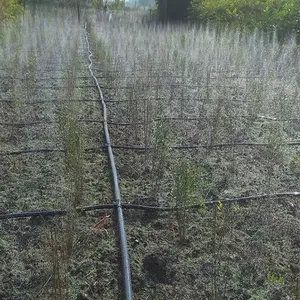Tuyau de pluie de bande micro de jet pour l'irrigation d'arrosage