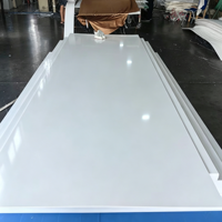 Feuille de plastique PE haute densité résistante aux UV, feuille résistante aux intempéries, découpe pour projets de construction extérieure et aménagement paysager, alimentation