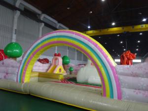 Prix usine extérieur personnalisé PVC arc-en-ciel gonflable parc d'attractions gonflable videur château cours pour les enfants pour l'événement - Product Image 3