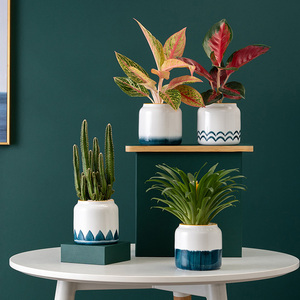 Pots de jardinières succulentes en céramique, artisanat en porcelaine de Style japonais comme cadeau pour maman, sœur, tante - Product Image 6