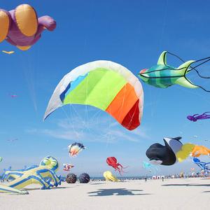 Venta caliente doble línea <span class=keywords><strong>de</strong></span> parapente playa del arco iris <span class=keywords><strong>cometa</strong></span> para al aire libre con <span class=keywords><strong>vuelo</strong></span> <span class=keywords><strong>de</strong></span> herramienta - Product Image 3
