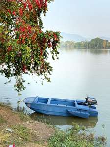 قارب صيد بلاستيكي قابل للطي متعدد الحماية من سلسلة الحوت، قابل للتركيب على المركبات مع مساحة تخزين - Product Image 2