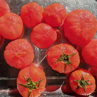 Hoge kwaliteit best verkochte PLC stoomschiller 15000W vermogen 1000 productiecapaciteit voor het schillen van aardappelen, tomaten en ander fruit