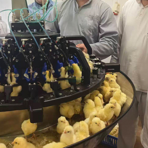Recortadora Láser de Patas para Gallinas Ponedoras, Equipo de Avicultura que Cumple con las Normas de Bienestar Animal - Product Image 3