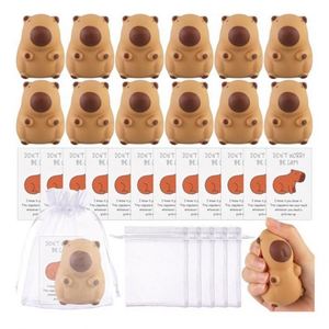 2025 Limited Edition Capybara <b>Squishy</b> Mochi Toys Set Eco-friendly TPR Stress Relief Sensory Fidget Play Taba Lapka Squeeze Toys - Product Image 5