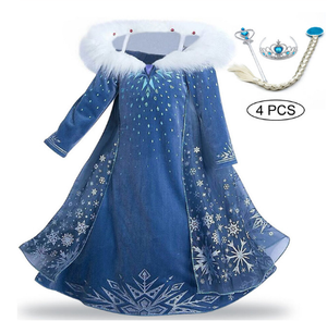 winter elsa costume