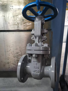 API PN16 CLASS 300 DN50-DN400 Manual Base Cast Iron/Carbon Steel Gate Valve - Product Image 3